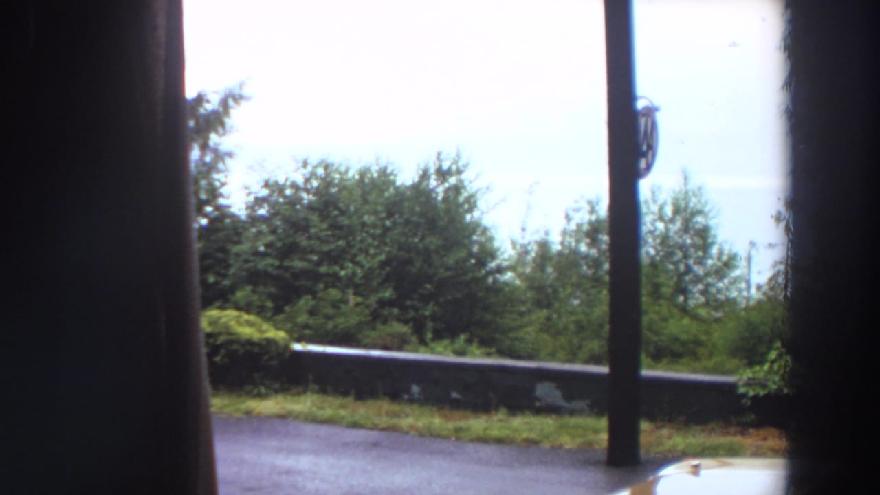 Wooded overlook seen through dark vertical framing with road, low wall, trees, and pale sky.