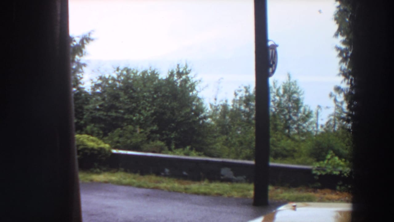 1964 California home-movie view of a wooded roadside overlook with a pole, low wall, trees, pale sky, and a partial car hood.