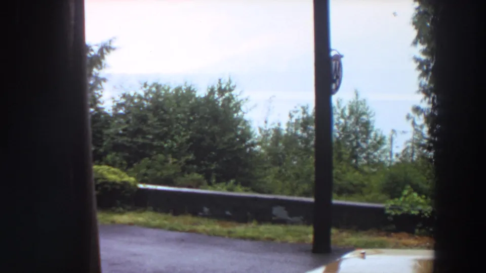 1964 California home-movie view of a wooded roadside overlook with a pole, low wall, trees, pale sky, and a partial car hood.