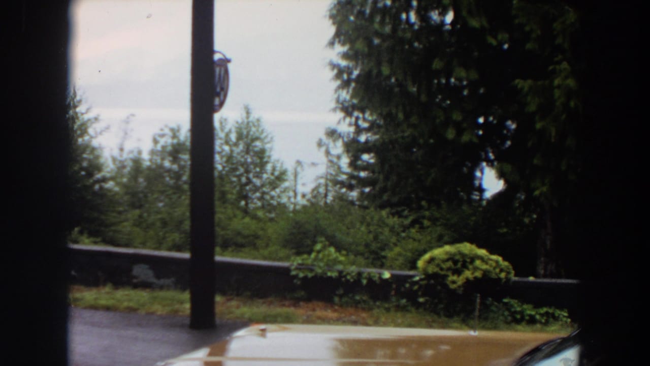 1964 California home-movie frame showing a wet roadside, trees, low wall, lamp post and partial car hood from a car-side viewpoint.