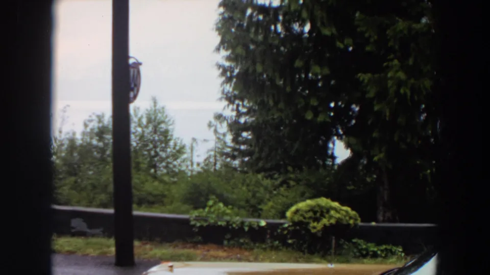 1964 California frame with wet pavement, a low wall, dense trees, a lamp post and a small portion of a car hood at the lower edge.