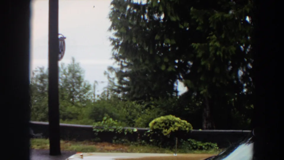 1964 California home-movie view framed by dark vertical posts, with wet pavement, shrubs, a low wall and tall trees in the background.