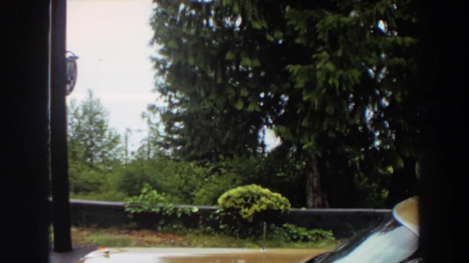 1964 California roadside frame showing wet pavement, a low wall, dense trees, lamp post detail and a partial car hood at right.
