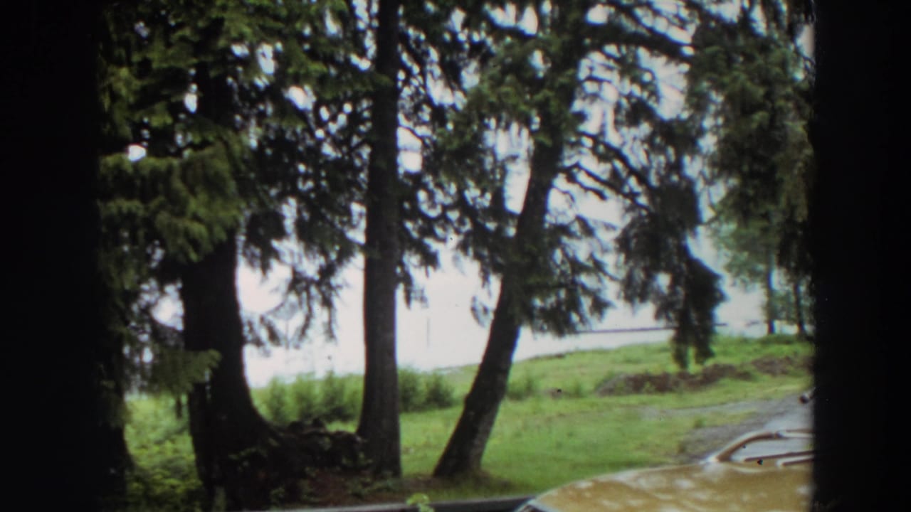 1964 California 8mm frame showing tall lakeside trees, green grass, pale water, and a curved paved edge under bright overcast light.