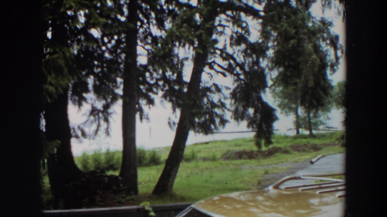 Lakeside trees and grass with the edge of a yellow car roof and metal rack at lower right.