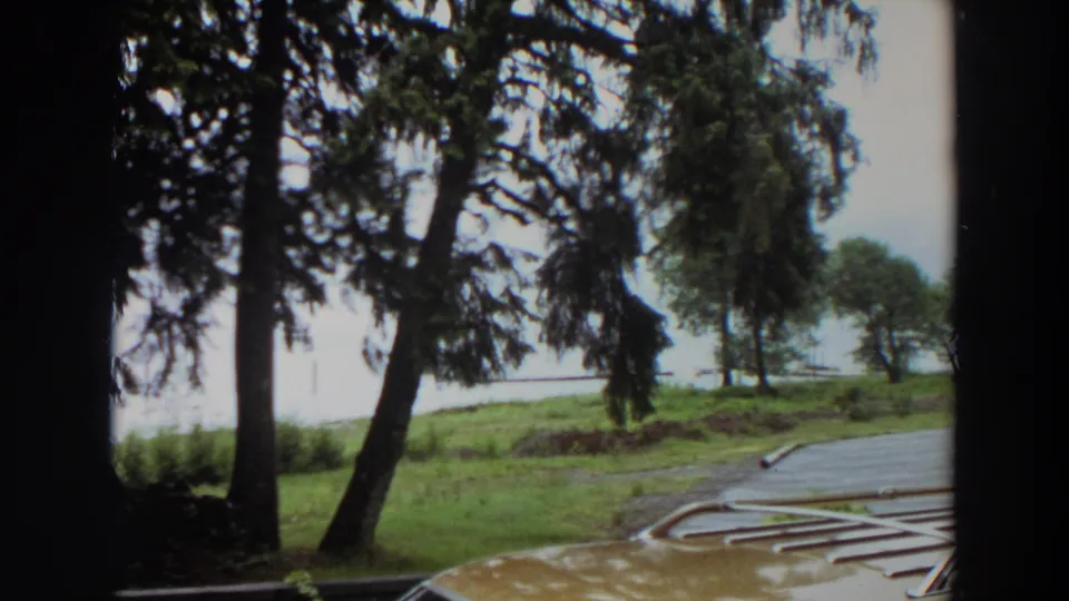 1964 California 8mm frame looking through dark tree trunks toward grass, pale lake water, and a curved paved edge in the foreground.