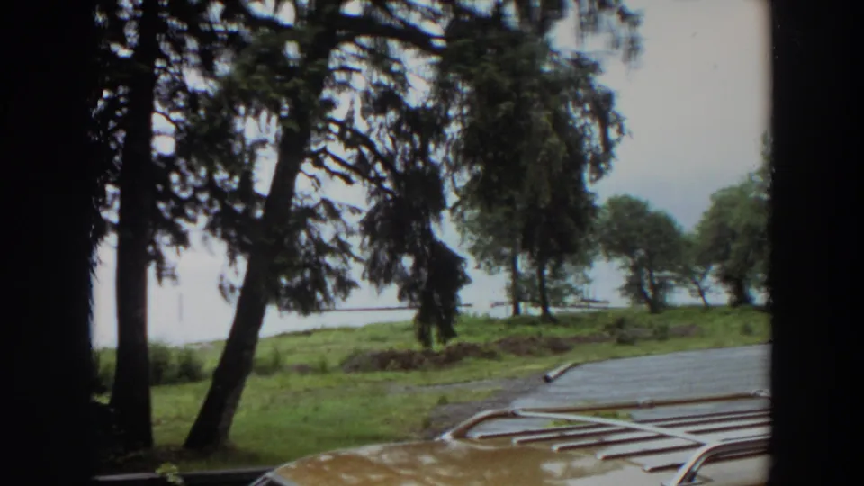 1964 California frame showing a yellow car roof with metal rack in the foreground, with tall trees, grass, and pale lake water beyond.