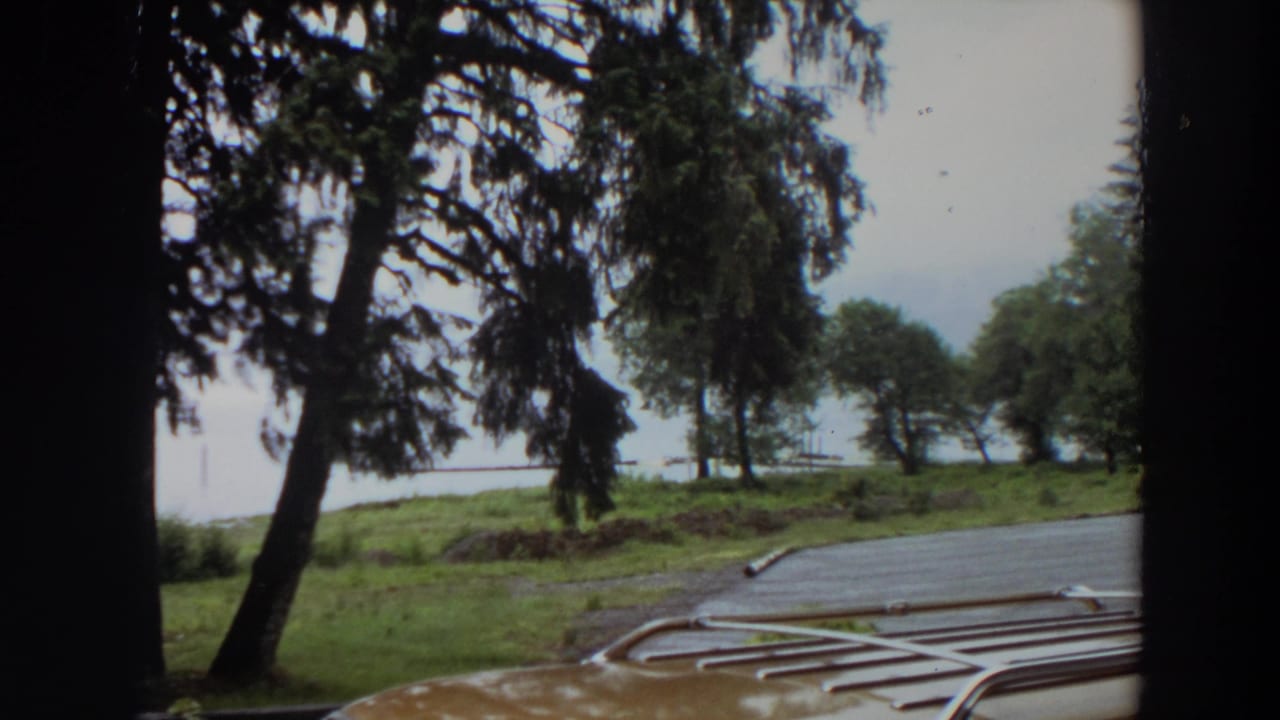 1964 California 8mm frame looking over a car roof rack toward wet asphalt, green trees, grass, and a calm body of water.