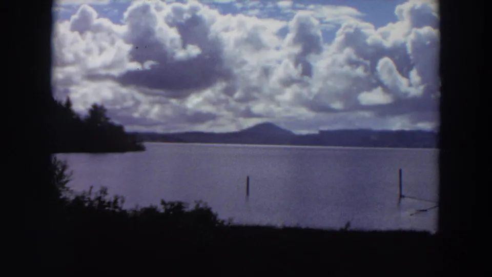 1964 California lake view with silhouetted trees at left, low mountains on the horizon, and posts standing in the water.