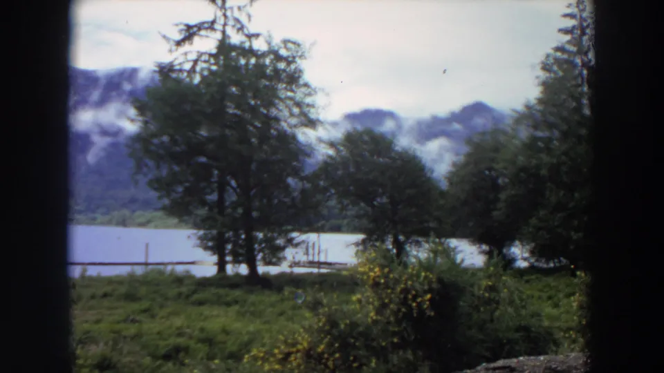 1964 California 8mm view of leafy trees, shrubs, a grassy shore, calm water, dock posts, and misty mountain slopes.