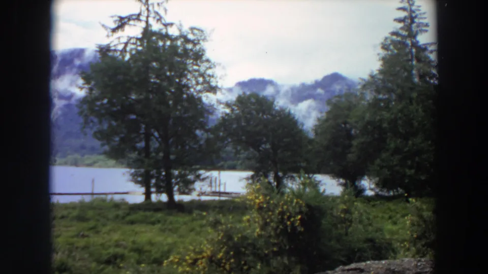 Late-frame 1964 California home-movie view of trees, bushes, a quiet lakeshore, dock elements, and misty mountains.