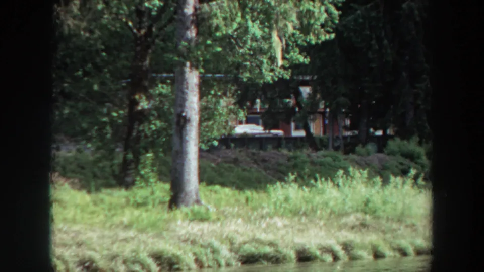 1964 California home-movie frame of calm lake water facing a grassy bank, tall trees, small cabins, and cars partially hidden in shade.