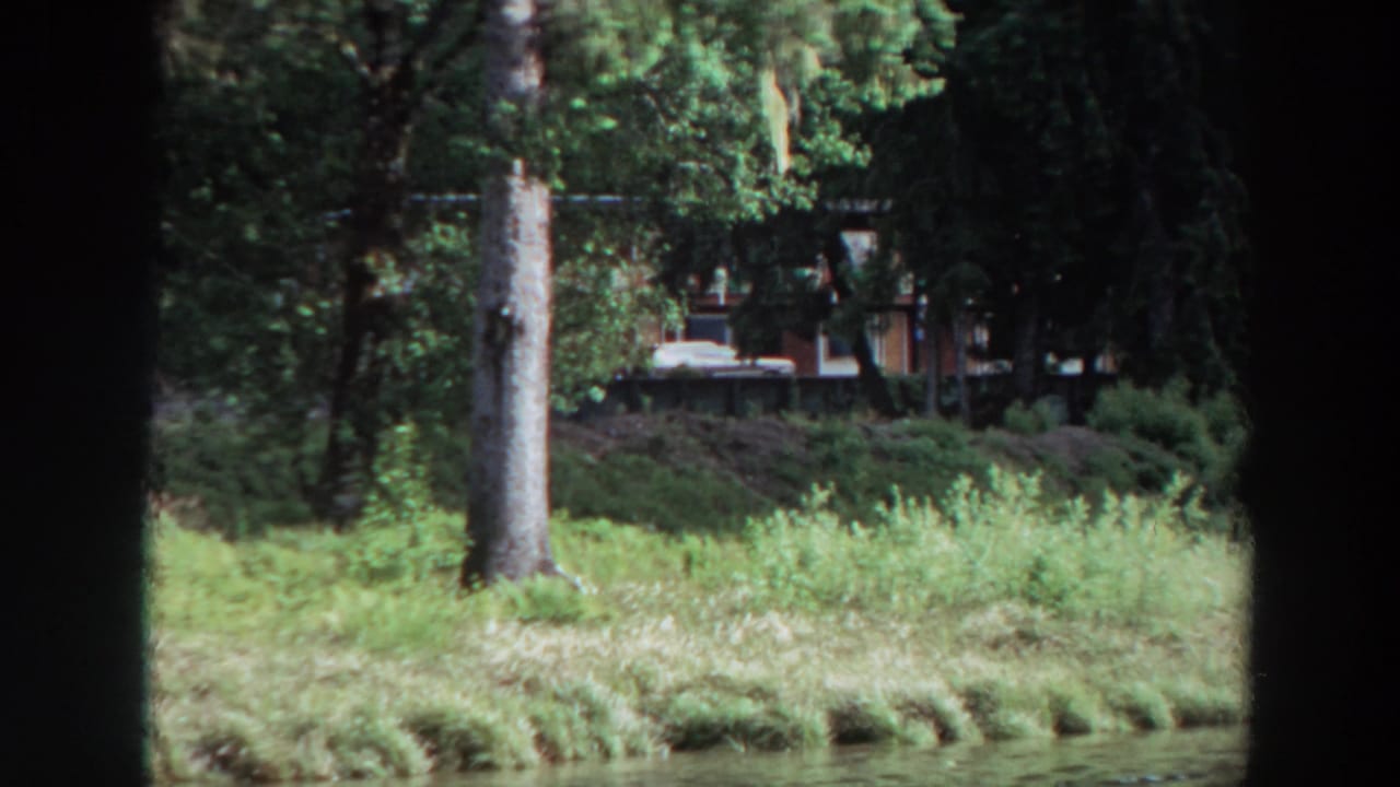Forested lakeshore with grass, trees, and a partially visible cabin-like structure behind dark frame edges.