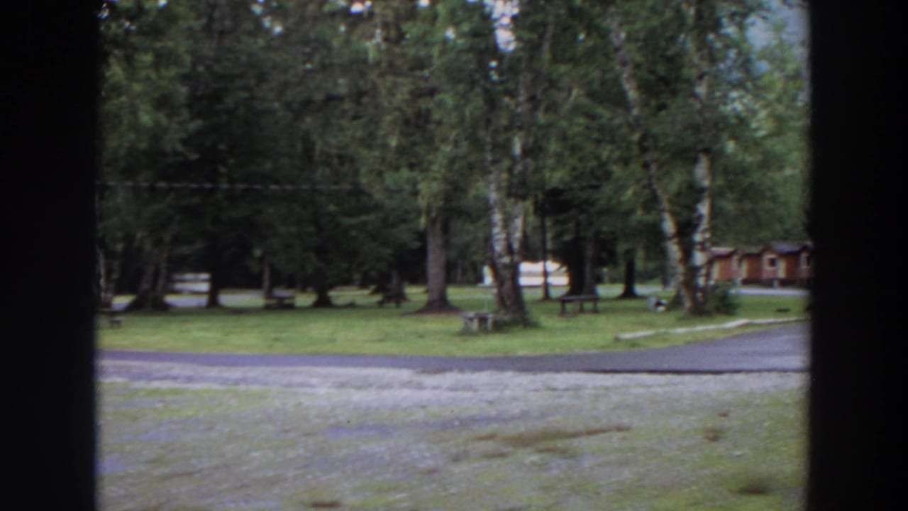 Trees and lawn with cabins partly visible beyond a campground road.