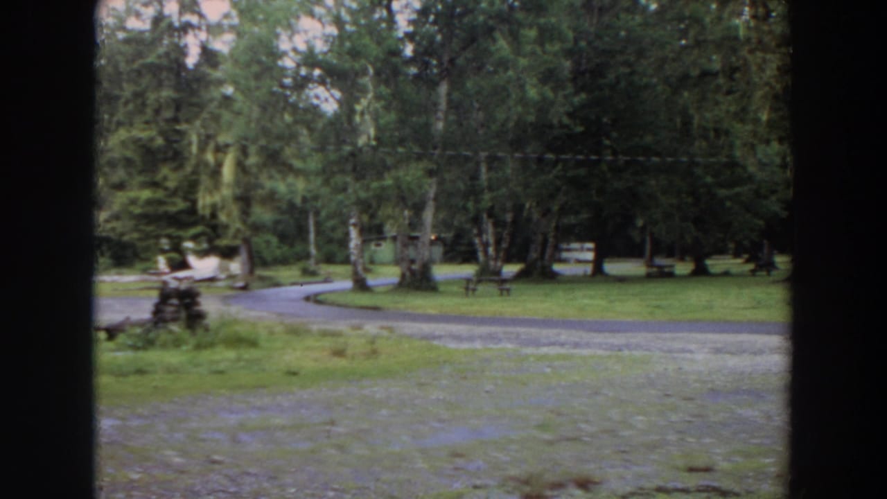 Curving park path through trees and grass with benches and a small stump or planter nearby.