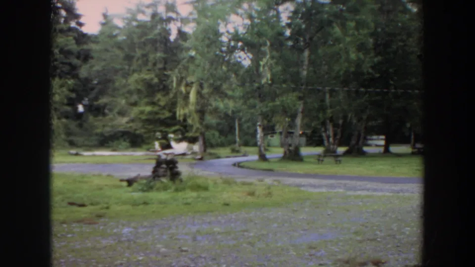 1964 California 8mm frame of a quiet park landscape with trees, lawn, curving path, benches, and soft film grain.