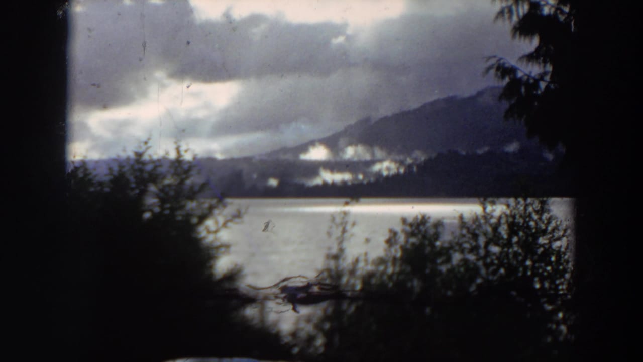 Cloudy lake and hillside framed by dark trees and shoreline brush.