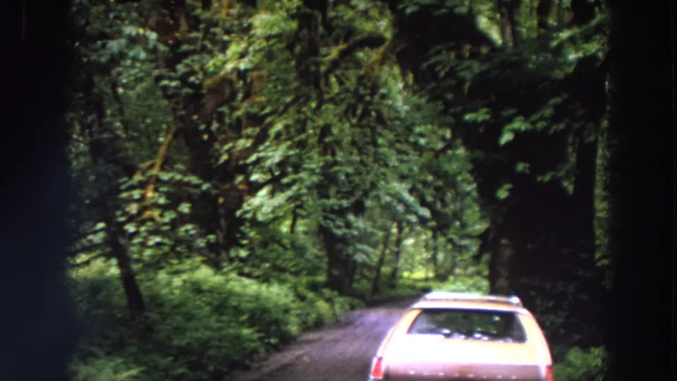 1964 Washington home-movie frame with a light station wagon on a winding wooded road under a thick green canopy.