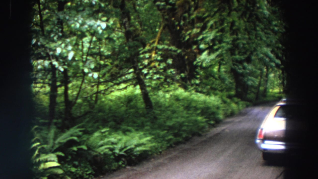 Pale station wagon driving away on a narrow dirt road through dense green forest.