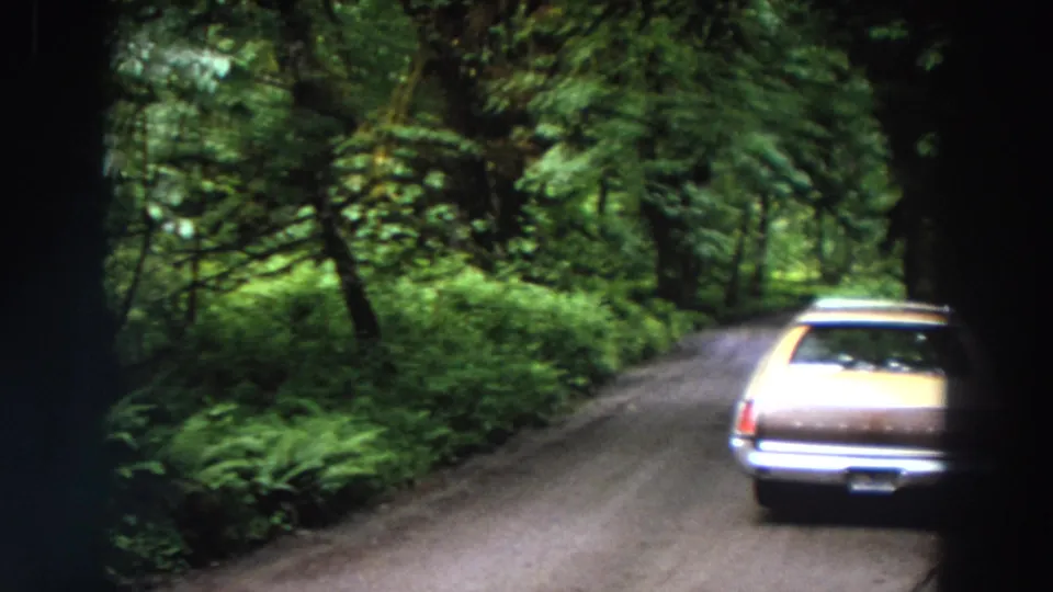 The station wagon appears near the right edge of a wooded Washington dirt road, framed by thick green vegetation.