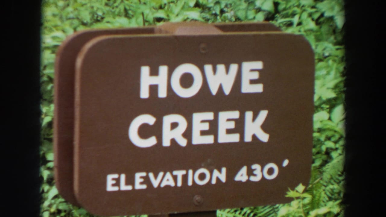 1964 Washington home-movie frame showing a brown sign reading Howe Creek Elevation 430 against leafy greenery.