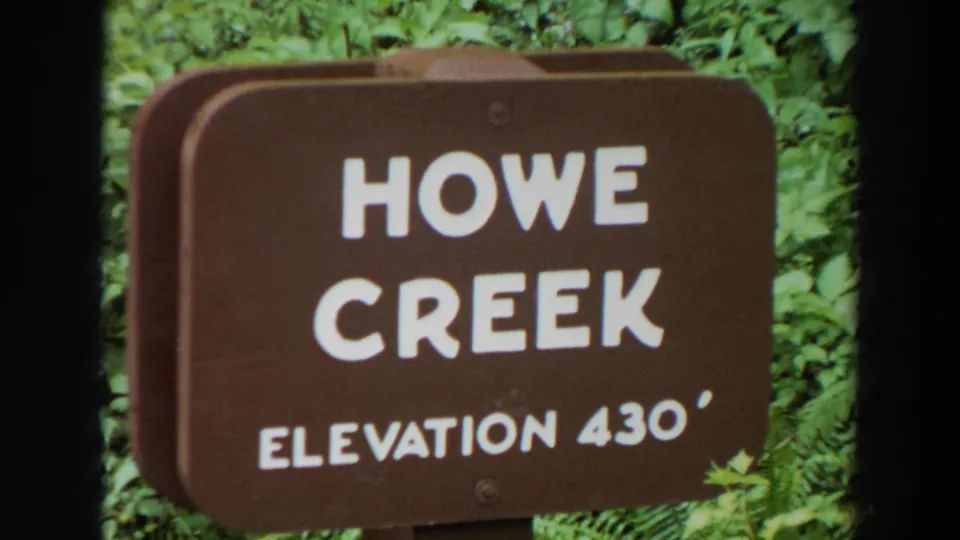 A close 8mm view of the Howe Creek Elevation 430 sign, with dense greenery filling the background.