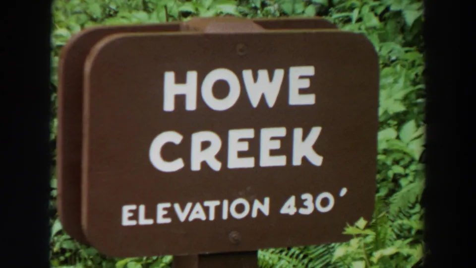 The Howe Creek Elevation 430 sign fills the frame, backed by thick Washington greenery in soft 8mm color.
