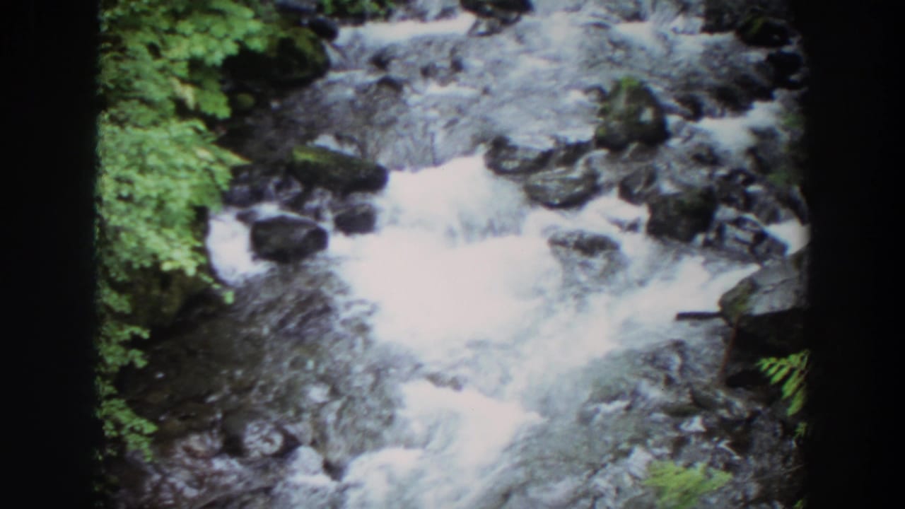 1964 Washington 8mm frame showing white creek water rushing over dark rocks with dense green foliage at the bank.