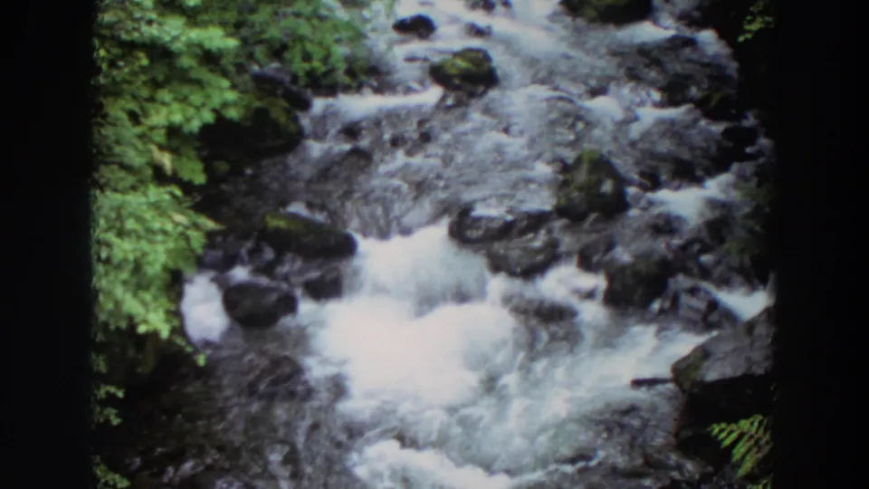 1964 Washington home-movie frame with a fast-flowing creek, dark boulders, and leafy green vegetation along the water.