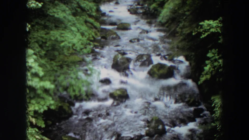1964 Washington frame showing a broader creek view with white water, scattered rocks, and dense foliage on both sides.