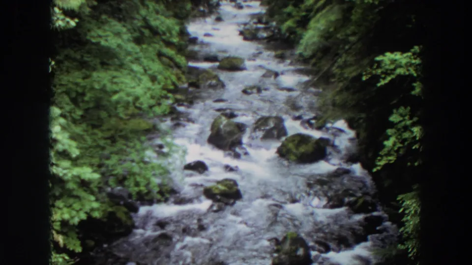 1964 Washington 8mm frame showing white water moving around mossy rocks in a shaded forest stream.