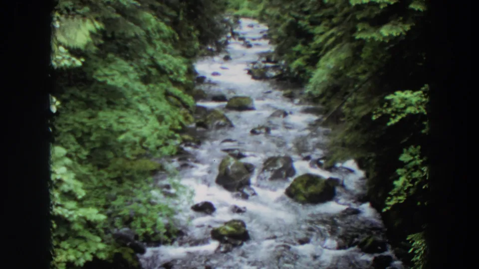 1964 Washington home-movie frame of a narrow forest creek with pale rushing water and dark, leafy banks.