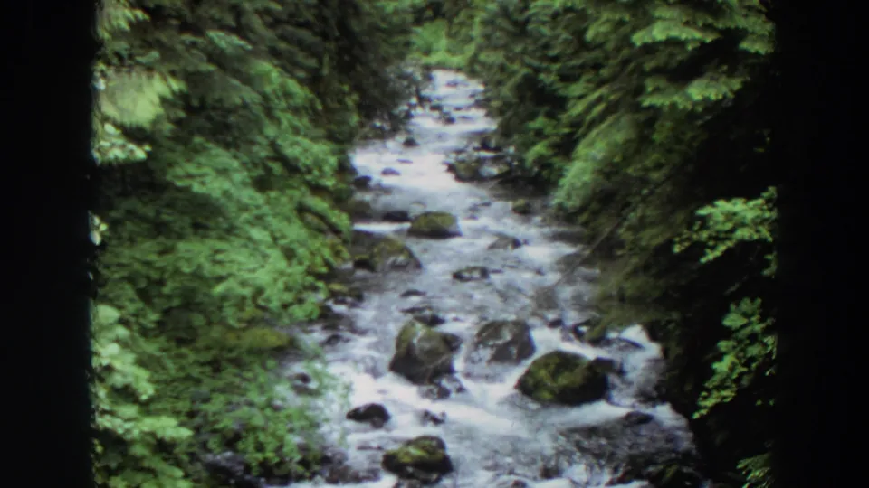 1964 Washington 8mm frame showing a rocky river channel bordered by thick green vegetation and soft film grain.