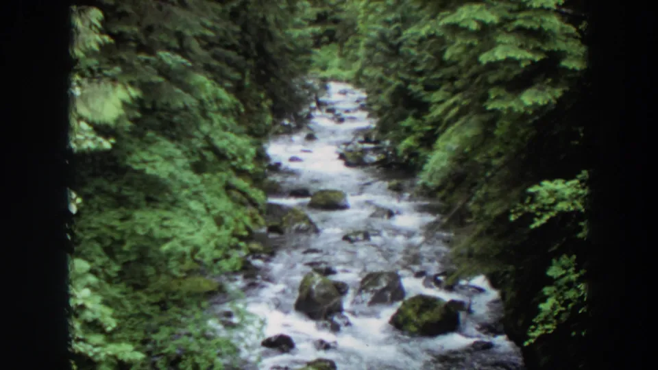 1964 Washington home-movie frame of a shaded forest stream, with foaming water passing around scattered rocks.