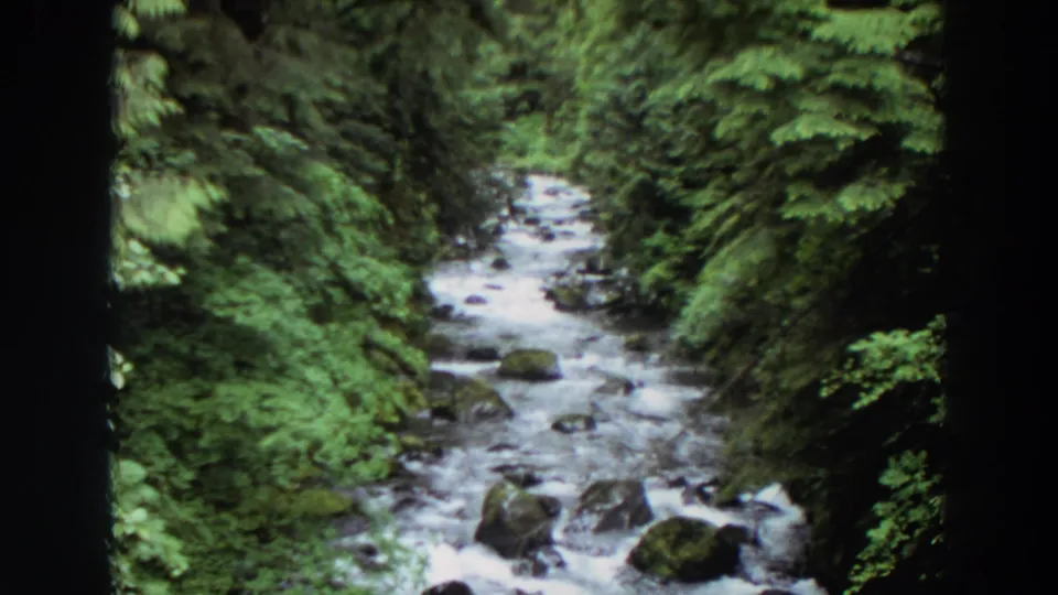 1964 Washington 8mm frame of a narrow rocky stream moving through dense green forest foliage.