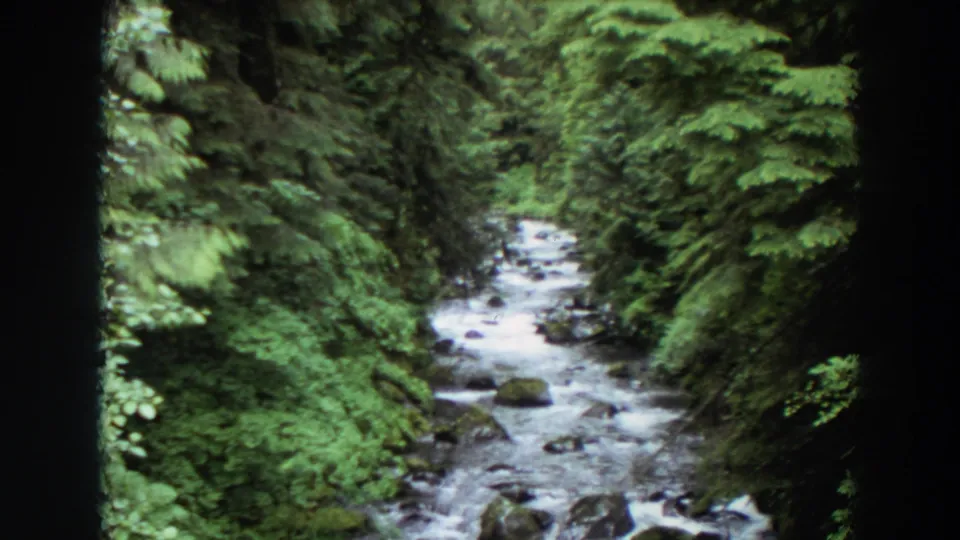 Soft 8mm frame of a Washington forest stream with water moving over rocks beneath dense foliage.