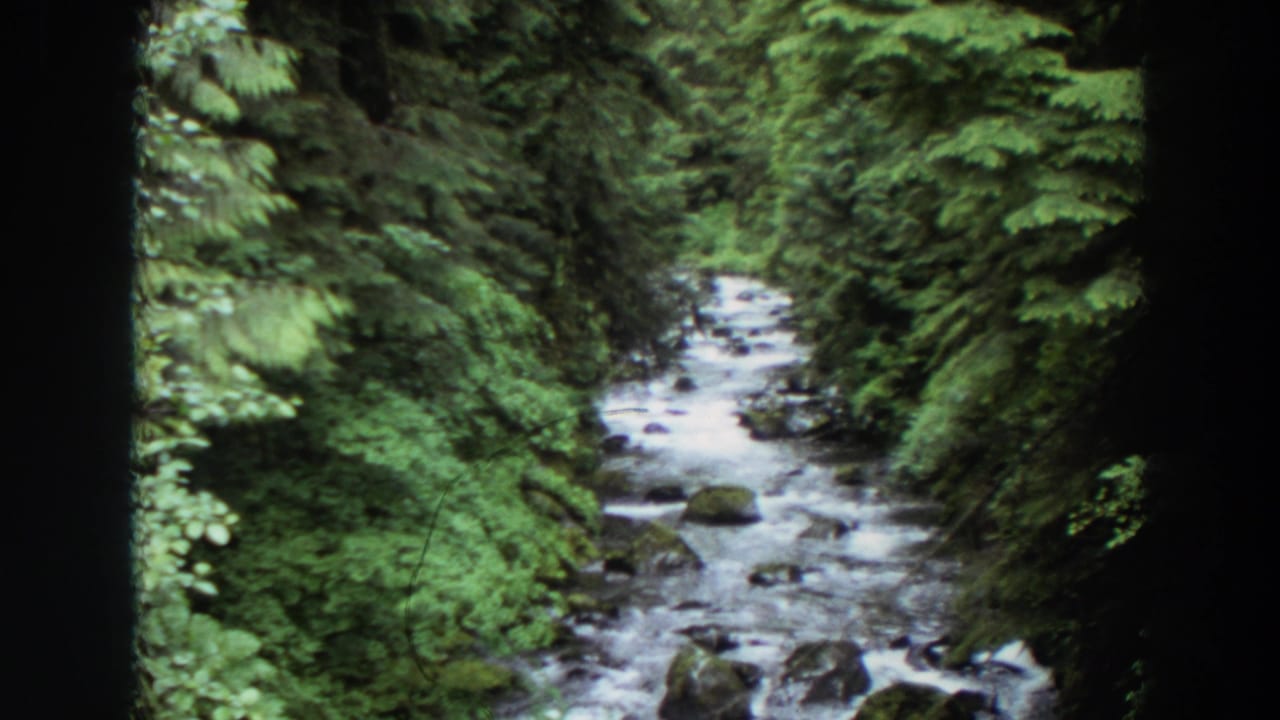 1964 Washington 8mm frame showing a narrow forest stream running between dense green banks and mossy stones.