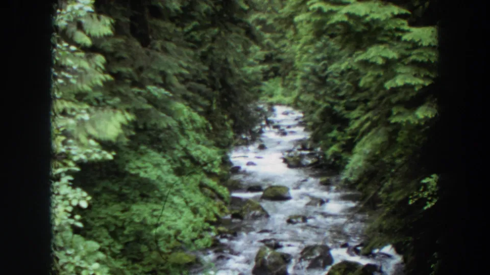 1964 Washington 8mm frame showing a narrow forest stream running between dense green banks and mossy stones.