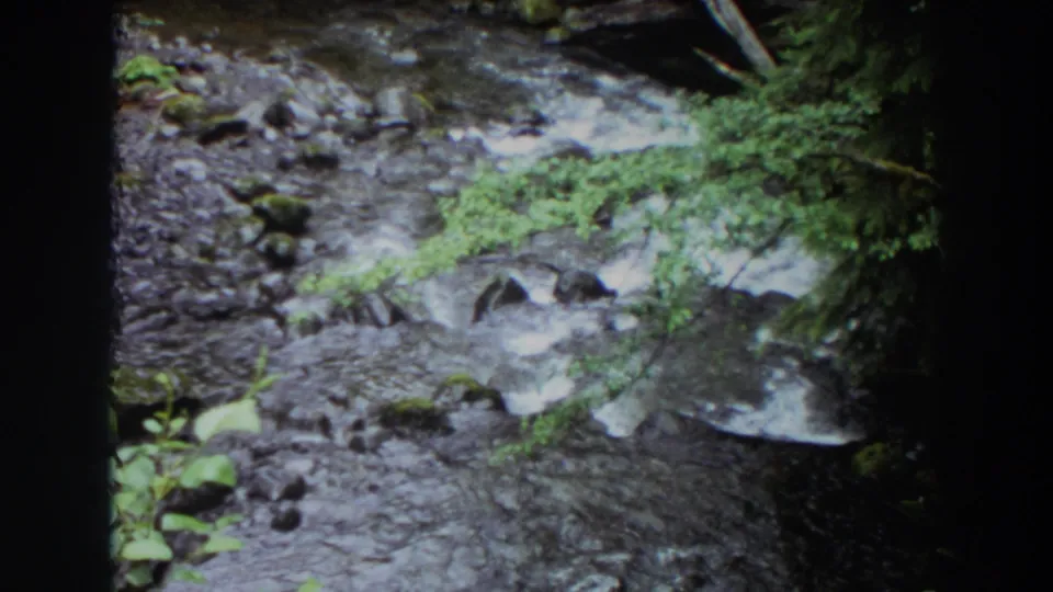 1964 Washington 8mm view of a rocky creek bend with moving water, moss-covered stones, and forest vegetation.
