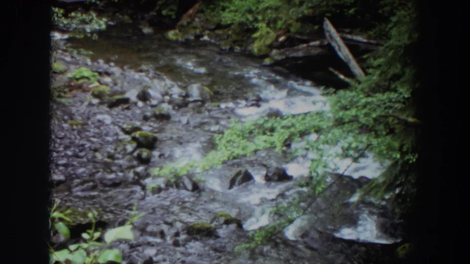 1964 Washington 8mm frame showing a shaded forest creek with scattered stones, moss, and water moving through the channel.