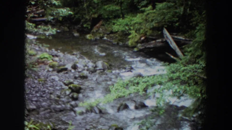 1964 Washington 8mm frame of a shallow forest stream bordered by mossy rocks, leafy growth, and fallen wood.