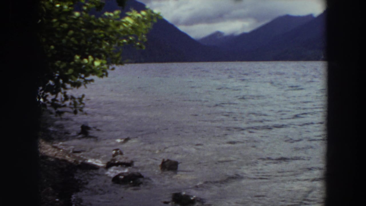 Rippling water, shoreline rocks, tree trunk, and distant mountains under cloudy sky.