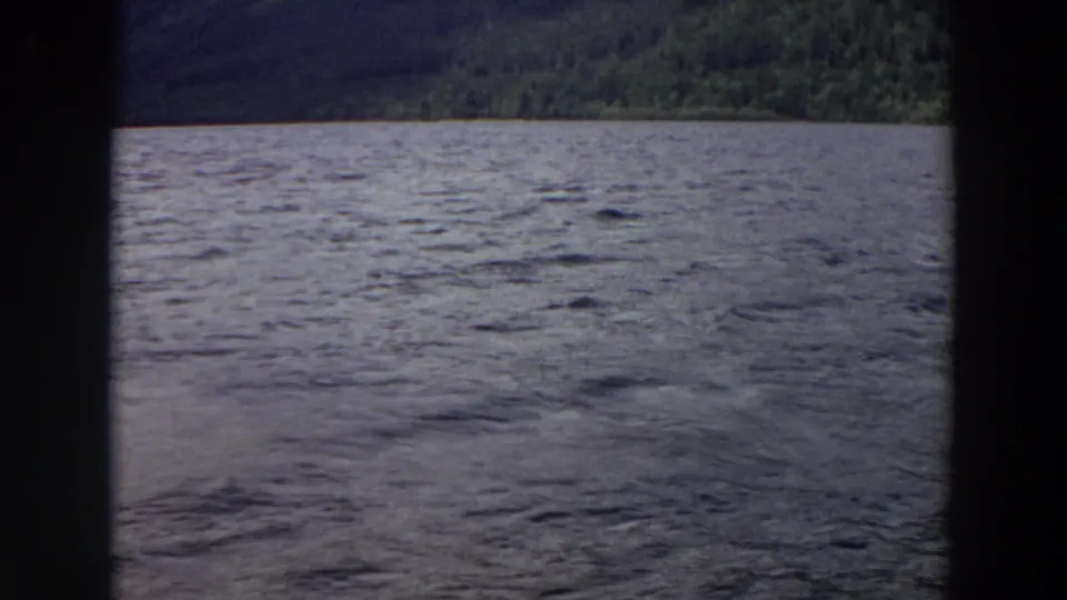 1964 Washington lake view with choppy water in the foreground, tree-lined shoreline, dark mountain backdrop, and 8mm frame edges.