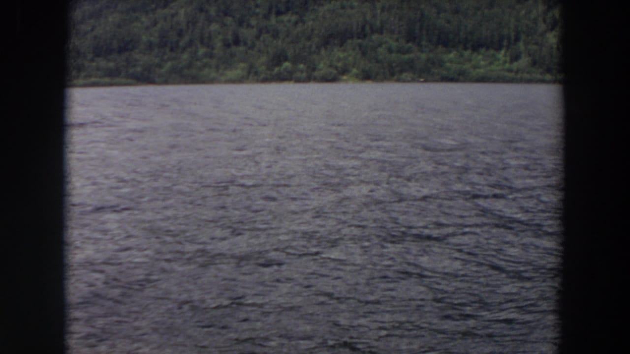 Rippling lake water with a forested shoreline beyond dark vertical frame borders.