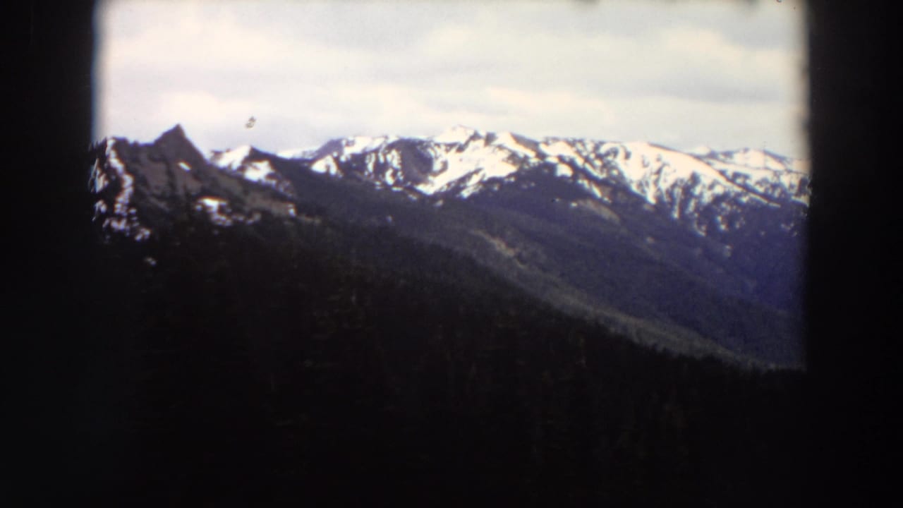 1964 Washington 8mm frame showing distant snowy mountain peaks beyond a dark evergreen forest and cloudy sky.