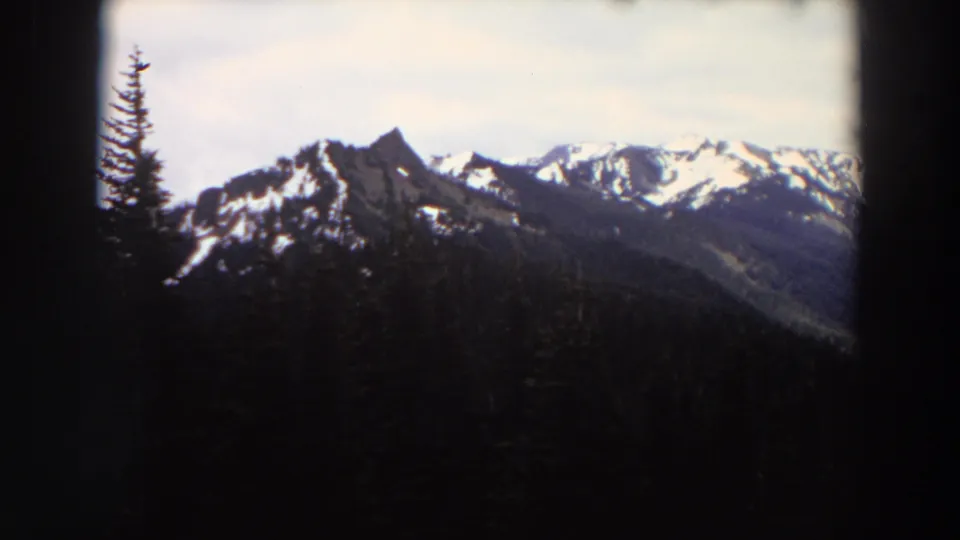 1964 Washington 8mm frame showing snowy peaks over dense evergreen forest with a tall tree along the left edge.