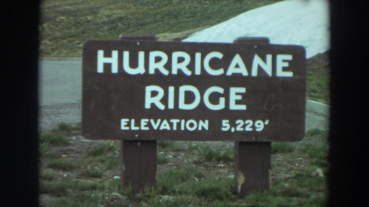 1964 Washington 8mm frame showing a brown Hurricane Ridge sign marked elevation 5,229 feet beside a roadside slope.
