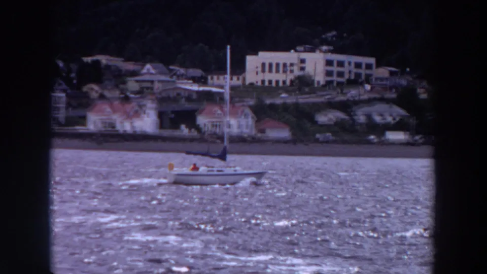 Small sailboat crosses choppy water near shoreline houses and low buildings in Washington, according to clip metadata.