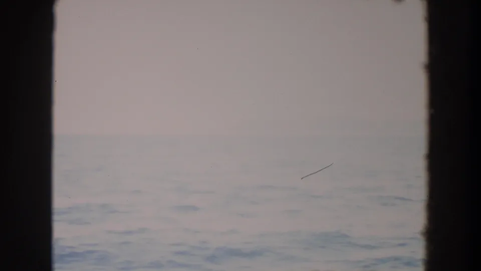 A fixed 1964 Washington coastal view shows misty water, a faint horizon, and a small scratch or dust mark on the 8mm scan.