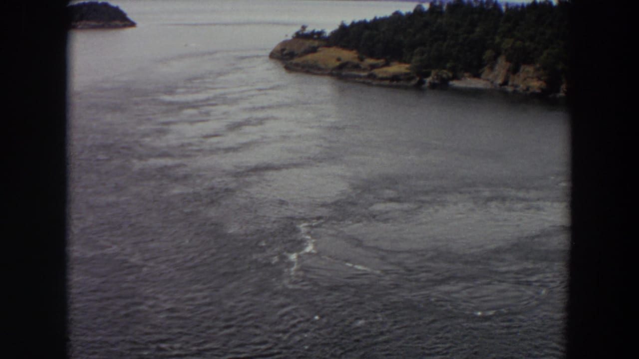 Rippling water seen between dark foreground borders with a wooded shoreline and small island beyond.